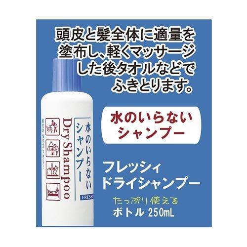 Japan SHISEIDO Freshy Dry Shampoo Spray 150ml
