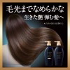 Shiseido Tsubaki EX Premium Moist & Repair Hair Shampoo 450ml 