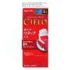 Cielo EX Cream 4A Ash Brown For Gray Hair Dye(1 set) 