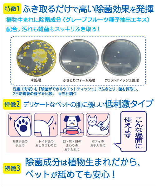 Japan Lion For Pet Anti-Bacterial Foam Dry Cleaner 250ml