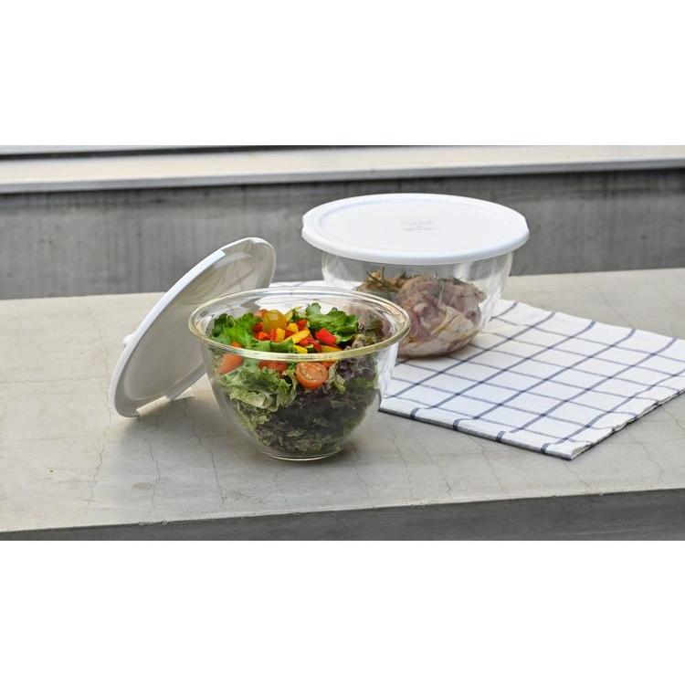 HARIO Heat-Resistant Glass Bowl Set with Microwave-Safe Lids (Set of 2)