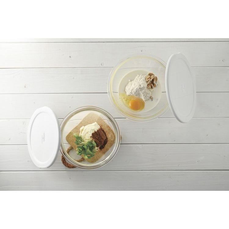 HARIO Heat-Resistant Glass Bowl Set with Microwave-Safe Lids (Set of 2)