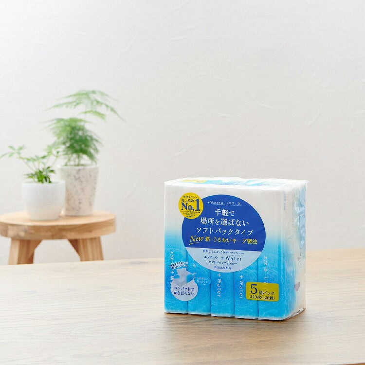 日本大王GOO.N超柔湿润纸巾（120片*5包）