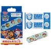 SKATER Band Aid Plasters M 20pc（ Paw Patrol ）