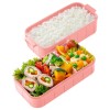 Skater Antibacterial 2 Tier Lunch Box With Chopsticks 600ml (Hello Kitty)