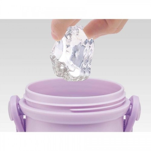 Skater Antibacterial Kid Water Bottle With Strap 480ml (Kuromi)