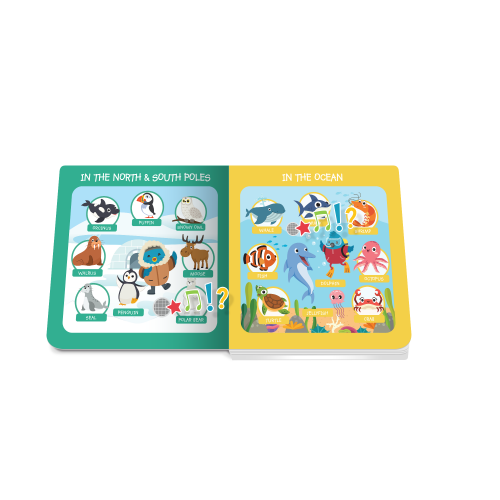 DITTY BIRD -First 100 Animals