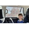 NZ Little Shades Window Shades SPF 60+ (Panda Land)  Buy One Get One Free