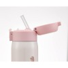 Skater Stainless Steel Vacuum Insulated Straw Drink Bottle 480ml (Hello KItty)