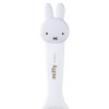 Skater Rice Scoop - Miffy