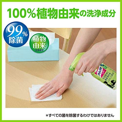 Kao Multi-Purpose Fridge And Table Cleaner Refill Pack 250ml (Green Tea) 