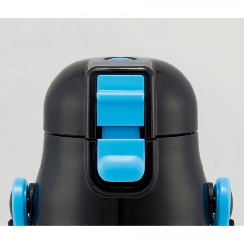 Skater Stainless Steel Insulated Bottle With Shoulder Strap 580ml (Pokémon)