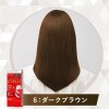 Cielo EX Cream 6 Dark Brown For Gray Hair Dye(1 set) Cielo EX Cream 6 Dark Brown For Gray Hair Dye(1 set)