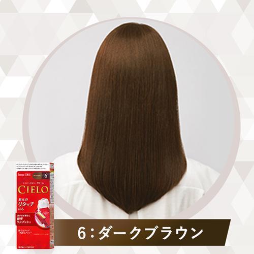 Cielo EX Cream 6 Dark Brown For Gray Hair Dye(1 set) Cielo EX Cream 6 Dark Brown For Gray Hair Dye(1 set)