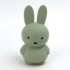 Miffy's Piggy Bank S (EUCALYPTUS) Miffy's Piggy Bank S (EUCALYPTUS)