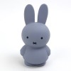 Miffy's Piggy Bank S (SILVER BLUE) Miffy's Piggy Bank S (SILVER BLUE)