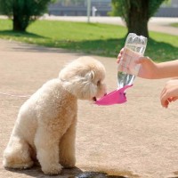 Japan Richell Size S Walk Handy Pet Water Bottle （Ivory）